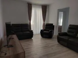 Romanescu Parc Apartment