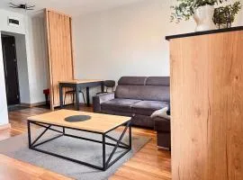 Kawalerka w centrum 42