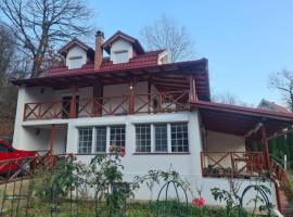 Vila Nina - gde duša diše, hotel a Niška Banja