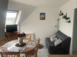 Appartement lumineux et cosy