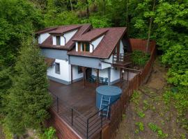 Gruber Forrest Cottage with real Wood Hottub, Hotel in Braşov