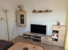 Ferienwohnung Erzgebirgsblick