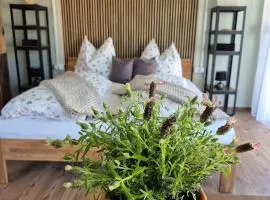 Tinyhouse Alpakas Ruhe&Natur Lavendelnest Südburgenland- Frühstück zubuchbar