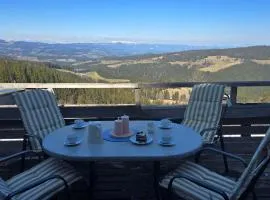 miki Chalets