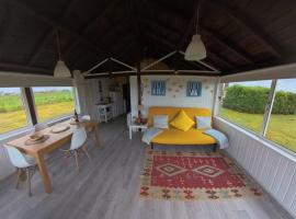 Casa dos Flamingos, Hotel in Murtosa