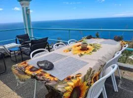 Casa d'Alegria Madeira Island
