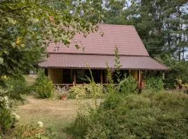 Gospodarstwo agroturystyczne nad jeziorem wśród lasów