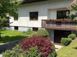 Mountain View Mojstrana