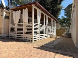 Mobile Home Korina