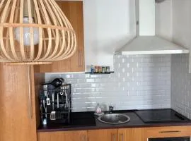 Studio 1er Consul