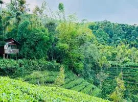 Hill wood nature touch resort