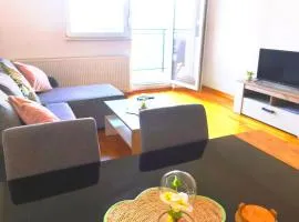 Lux apartman Ub