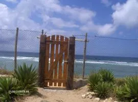 Finca Malyma with 2 villas and 1 apartment, beach front 10,000m2 botanic garden