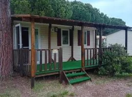 Loue mobil home 4-6 personnes Torreilles