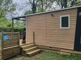 Mobil home - animaux admis - 6 pers. - API-1-52-2242