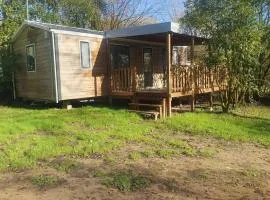 Mobil-home accueillant animaux - 6 pers. - API-1-52-2292