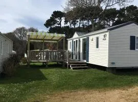 Mobil home cosy, animaux admis - 5 pers. - API-1-52-2282