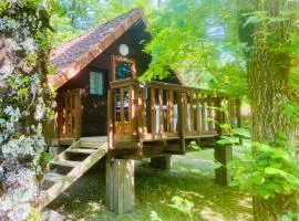 Chalet charmant, animaux bienvenus - 4 pers. - API-1-52-2279