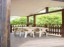 Chalet clim, animaux OK - 4 pers. - API-1-52-2291