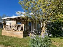 Chalet animaux OK - 5 pers. - API-1-52-2303