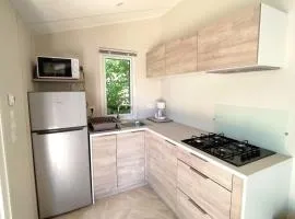 Mobil-home, animaux admis - 4 pers. - API-1-52-2358