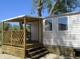Mobil home animaux OK - 2 pers. - API-1-52-2379
