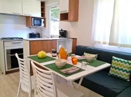 Mobil home climatisé - 4 pers. - API-1-52-2359