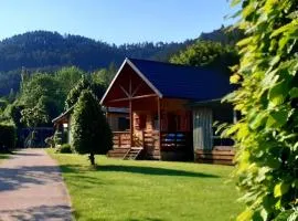 Chalet accueillant animaux - 5 pers. - API-1-52-2405