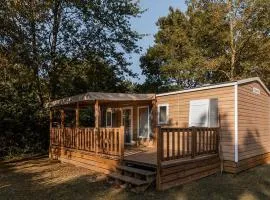 Mobil-home accueillant animaux - 8 pers. - API-1-52-2431