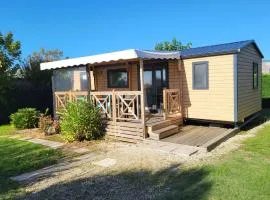 Mobil home accepté animaux - 6 pers. - API-1-52-2481