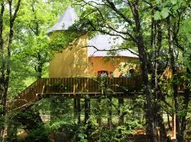 Cabane dans les arbres, animaux OK - 10 pers. - API-1-52-2494