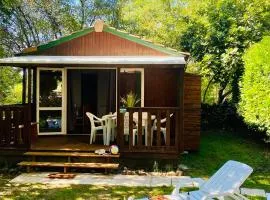 Mobil home avec animaux OK - 5 pers. - API-1-52-2475