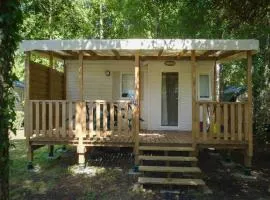 Mobil home avec salon de jardin - 4 pers. - API-1-52-2535
