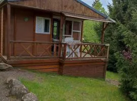 Chalet accueillant animaux - 5 pers. - API-1-52-2537