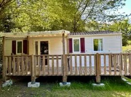 Mobil home - 8 pers. - API-1-52-2589