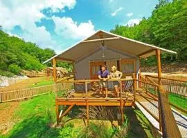 Lodge avec animaux admis - 4 pers. - API-1-52-2596