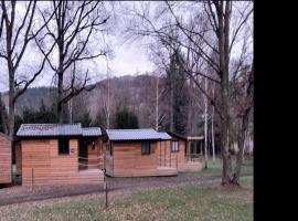 Mobil-home accueillant animaux - 4 pers. - API-1-52-2616, Hotel in Sauxillanges