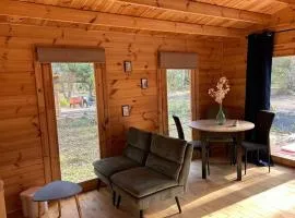 Chalet climatisation, animaux OK - 4 pers. - API-1-52-2624