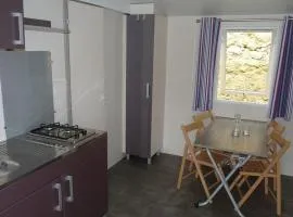 Mobil-home pour 5 pers., animaux admis - API-1-52-2631