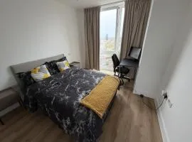 Modern Private Room and Bath, Gym and Balcony