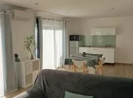 Charmant appartement climatisé