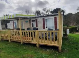 Mobil-home accueillant animaux - 6 pers. - API-1-52-2355