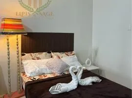 Elpis & Sage Arcadia - Full Taal View