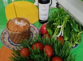 Qilimcha's Guesthouse-Art Museum