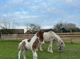 Seoski turizam Jagodić