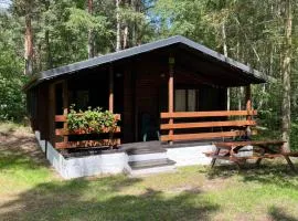Leśnik Bungalow Stegna - domki letniskowe nad morzem