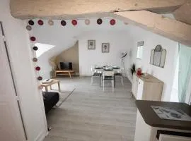The Charm of Nevers' Rooftops & 2 minutes from the train station