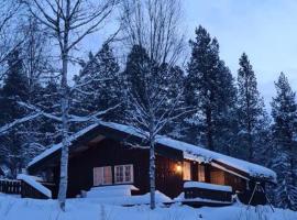 Borealis Mountain Lodge، فندق في أوبدال
