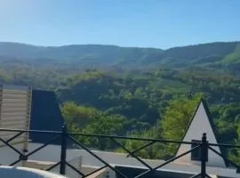 A-Frame Villa in the Nature
