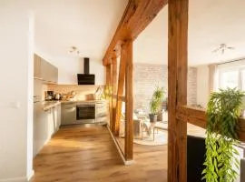 Apartment DOM V - Erfurt Domplatz